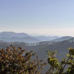 HzS_IMG_8530.JPG
