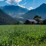 5-2_MRue_2019-06-30 - 07-07 GBI Mailand Muenchen-159_DSC02111-Pano.jpg