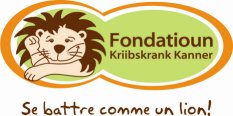 http://www.fondatioun.lu