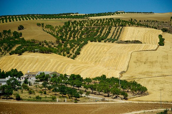 Andalucia I 389x583