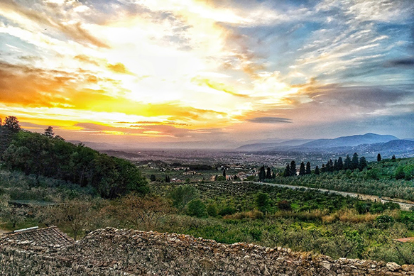 Toscana IV 389x583